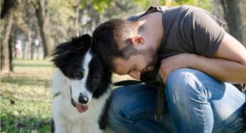 Malattie che il cane trasmette all’uomo con la saliva