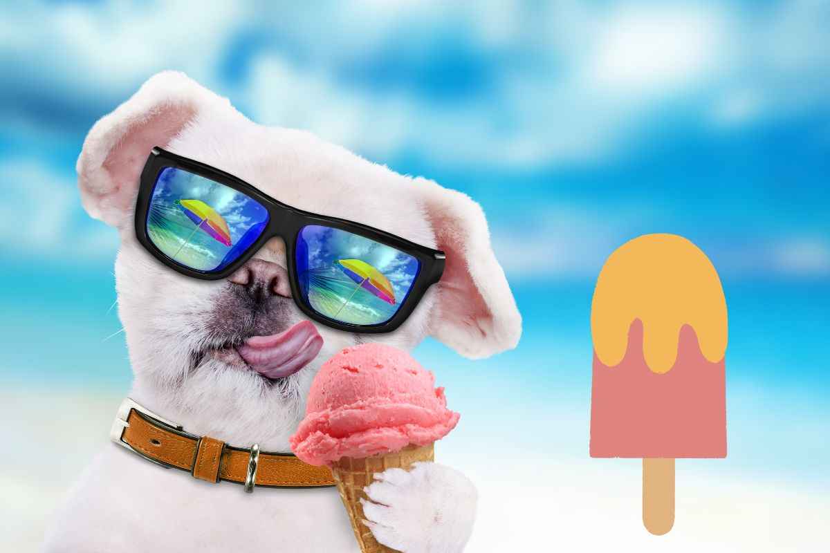 Gelato per cani