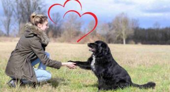 Il tuo cane ti parla: 5 segnali che stai dando poco affetto al tuo amico Fido