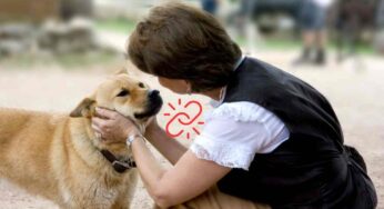Parlare col cane e farsi capire: questo consiglio ti cambierà la vita. Noterai subito il cambiamento