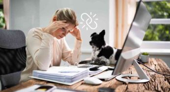 L’odore dello stress degli umani influenza le emozioni dei cani: “Così soffrono tanto”