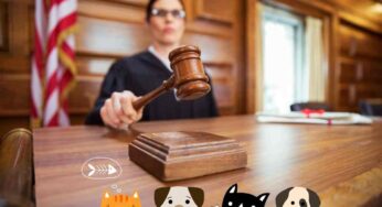 Istituito il Garante per gli animali, come funziona e quando interviene