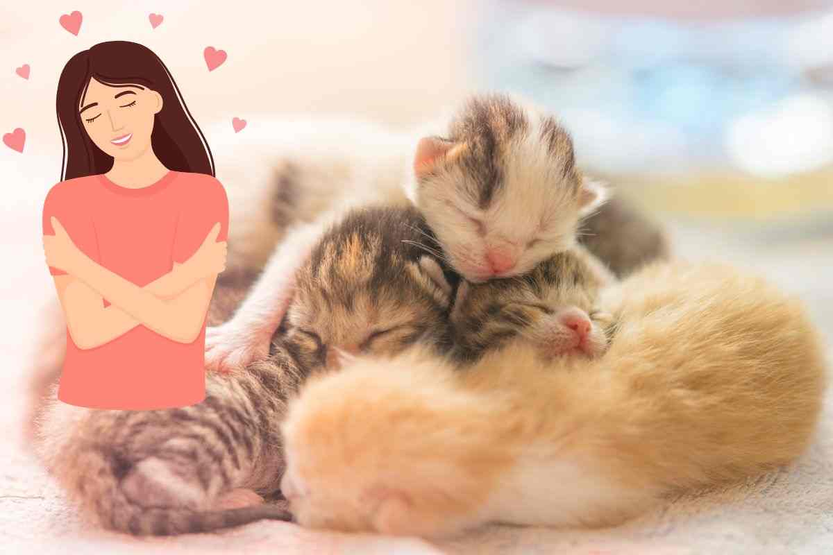prendersi cura di un gatto appena nato
