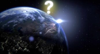 Qual è stato il primo animale sulla Terra? In pochissimi conoscono la risposta