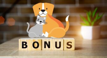 Bonus 2024 per cani, gatti e animali domestici: requisiti e quanto ti spetta