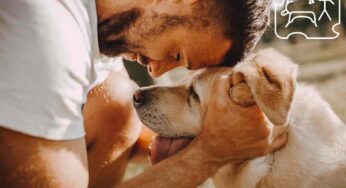 La lunga evoluzione del cane domestico: la scoperta sugli antichi fossili
