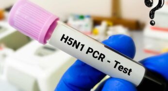 Il caso del Missouri, aviaria da uomo a uomo? Parlano gli epidemiologi