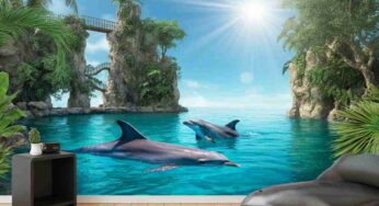 Il dramma dei delfini al Barceló Maya: un resort da incubo a pochi passi dal mare