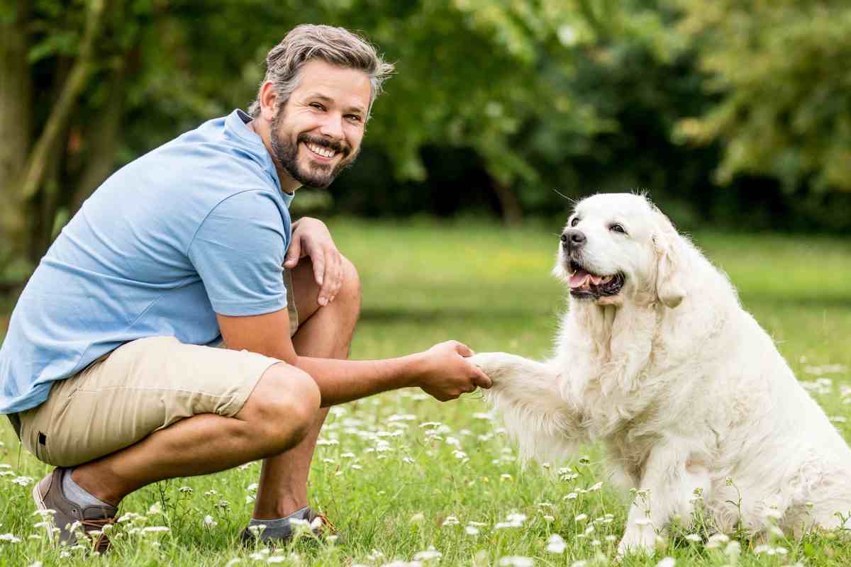 Educare il cane col rinforzo positivo