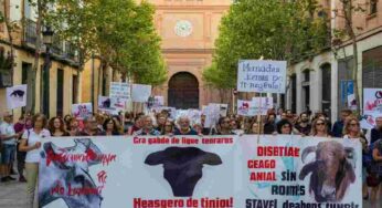 Il futuro della corrida in Spagna: 715mila firme spingono il Parlamento a una decisione cruciale