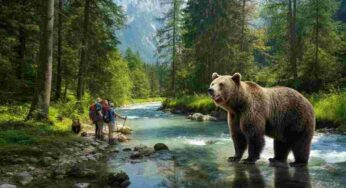 Orsi del Trentino: verità sorprendenti tra paure e incontri ravvicinati