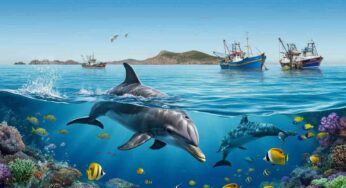 Delfini in pericolo: l’impatto devastante della pesca a strascico in Spagna