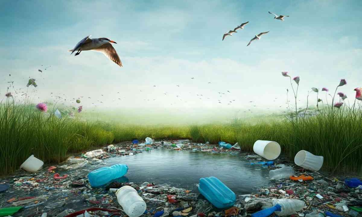 Microplastiche nei polmoni degli uccelli: uno studio allarmante su tutti gli esemplari analizzati