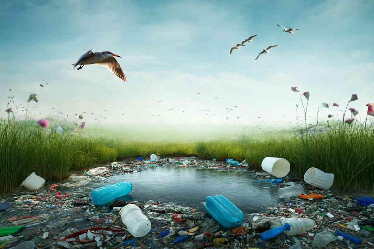 Microplastiche nei polmoni degli uccelli: uno studio allarmante su tutti gli esemplari analizzati