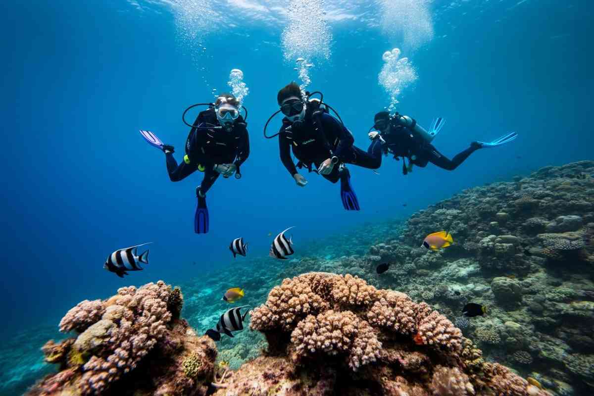Pesci straordinari: la sorprendente capacità di riconoscere le persone per il loro aspetto